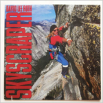 David Lee Roth - Skyscraper Album Cover POSTER 24 X 24 INCHES