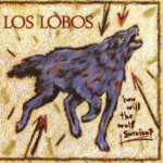 Los Lobos - How Will The Wolf Survive Album Cover POSTER 24 X 24 INCHES