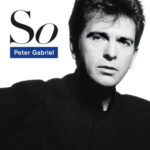 Peter Gabriel - So Album Cover POSTER 24 X 24 INCHES