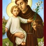 Saint Anthony of Padua POSTER 13 X 19 Inches Religious Art Print