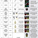 U.S. Navy Enlisted Rates and Insignia POSTER 24 X 36 Inches Military Reference Chart