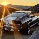 1967 Shelby Mustang GT500 REAR POSTER 24 X 36 INCH SWEET!