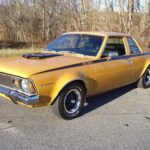 1971 AMC Hornet SC 360 Bonze POSTER 24 X 36 INCH Looks Sweet!