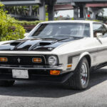1971 Ford Mustang Mach 1 POSTER 24 X 36 Inches SWEET!