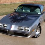 1979 PONTIAC FIREBIRD TRANS AM (GREY - BIRD) POSTER 24 X 36 INCH Looks GREAT!