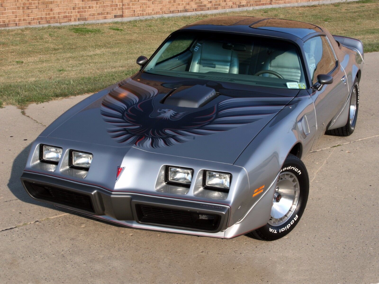 1979-PONTIAC-FIREBIRD-TRANS-AM-GREY-BIRD-POSTER-24-X-36-INCH-Looks-GREAT-112253512750 1979 PONTIAC FIREBIRD TRANS AM (GREY - BIRD) POSTER 24 X 36 INCH Looks GREAT! - Image 1