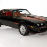 1980 Pontiac Firebird Trans Am 4.9 (Front Angle) 24 X 36 INCH Nice!