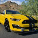 2019 FORD MUSTANG SHELBY GT350R (Yellow) POSTER 24 X 36 INCH SWEET!