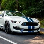 2020 FORD SHELBY GT350R HERITAGE EDITION (ROAD) POSTER 24 X 36 INCH Looks GREAT!