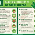 HEALTH BENEFITS OF MARIJUANA POSTER 24 X 36 INCH SWEET! POT MARIJUANA WEED