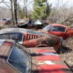 Junkyard Mustang fastback (1964-1965) POSTER 24 X 36 INCH Looks Sweet!