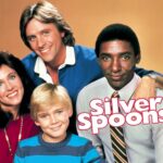 Silver Spoons TV Series POSTER 24 X 36 INCH SWEET!