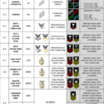 U.S. NAVY ENLISTED RATES POSTER 24 X 36 Inches