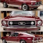 1967 Ford Mustang Maroon Tri Image POSTER 24 X 36 INCH SWEET!