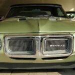1969 FIREBIRD (FRONT GREEN) POSTER 24 X 36 INCH SWEET!