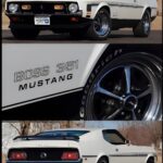1971 Boss 351 Mustang POSTER 24 X 36 INCH SWEET!
