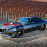 1973 BRUTAL PONTIAC FIREBIRD TRANS AM POSTER 24 X 36 INCH Built Not Bought!
