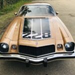 1975 Chevrolet Camaro Z28 FRONT POSTER 24 X 36 Inches SWEET!