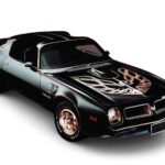 1976 PONTIAC FIREBIRD TRANS AM (BLACK -BIRD) POSTER 24 X 36 INCH Looks GREAT!