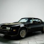 1977 PONTIAC FIREBIRD TRANS AM POSTER , SPECIAL EDITION W72 POSTER 24 X 36 INCH