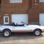 1979 Pontiac Firebird Formula Convertible (Side) POSTER 24 X 36 INCH Sweet!