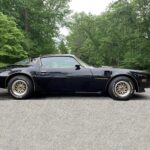 1979 Pontiac Firebird Trans Am (Side) POSTER 24 X 36 INCH Sweet!