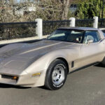 1980 Chevrolet Corvette POSTER 24 X 36 INCHES SWEET!