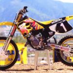 1995 Suzuki RM125 Motocross Motorcycle POSTER 24 X 36 INCH Sweet!