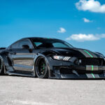 2017 Ford Mustang Shelby GT350 (MOD) POSTER 24 X 36 INCH SWEET!