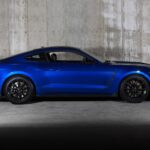 2018 FORD MUSTANG SHELBY GT350 (Side) POSTER 24 X 36 INCH SWEET!
