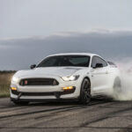 2019 Ford Mustang Shelby GT350 (Burnout) POSTER 24 X 36 INCH SWEET!