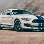 2020 FORD SHELBY HERITAGE EDITION (DIRT) POSTER 24 X 36 INCH Looks GREAT!