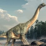 Brachiosaurus DINOSAUR POSTER 24 X 18 Inches NICE!