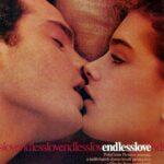 ENDLESS LOVE Movie POSTER 13 X 19 Inches Wall Art