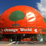 Orange World - Kissimmee, Florida (Day) POSTER 24 X 36 Inches VINTAGE!