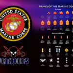 Ranks Of The U.S. Marines POSTER 24 X 36 Inches