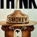 SMOKEY BEAR THINK (Forrest) POSTER 24 X 36 Inches Looks GREAT! Sweet Looking!