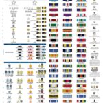 U.S. Armed Forces Ranks and Ribbons POSTER 24 X 36 Inches