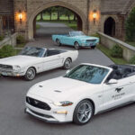 1965 - 2018 Ford Mustang POSTER 24 X 36 INCH Looks Awesome!