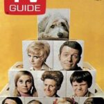1970 TV GUIDE The Brady Bunch POSTER 24 X 18 Inches Nice