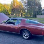 1973 Buick Riviera POSTER 24 X 36 INCH Sweet!