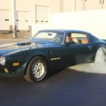 1973 Pontiac Firebird Trans Am (BURNOUT) POSTER 24 X 36 INCH SWEET!