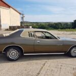 1974 Dodge Charger SE POSTER 24 X 36 INCH Sweet!