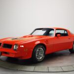 1976 PONTIAC FIREBIRD TRANS AM (RED) POSTER 24 X 36 INCH Looks GREAT!