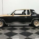 1979 OLDSMOBILE CUTLASS SUPREME  POSTER 24 X 36 INCH SWEET!