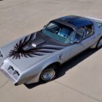 1979 PONTIAC FIREBIRD TRANS AM 6.6 L80 POSTER 24 X 36 INCH Looks Sweet!
