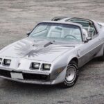 1980 PONTIAC FIREBIRD TRANS AM (GREY - BIRD) POSTER 24 X 36 INCH Looks GREAT!