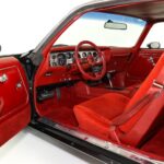 1980 Pontiac Firebird Trans Am 4.9 (Interior) 24 X 36 INCH Nice!