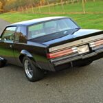 1987 Buick GNX (Rear Angle) POSTER 24 X 36 INCH SWEET Looking!
