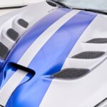 2016 Dodge Viper ACR Gray (Hood Vents) POSTER 24 X 36 INCH Sweet!